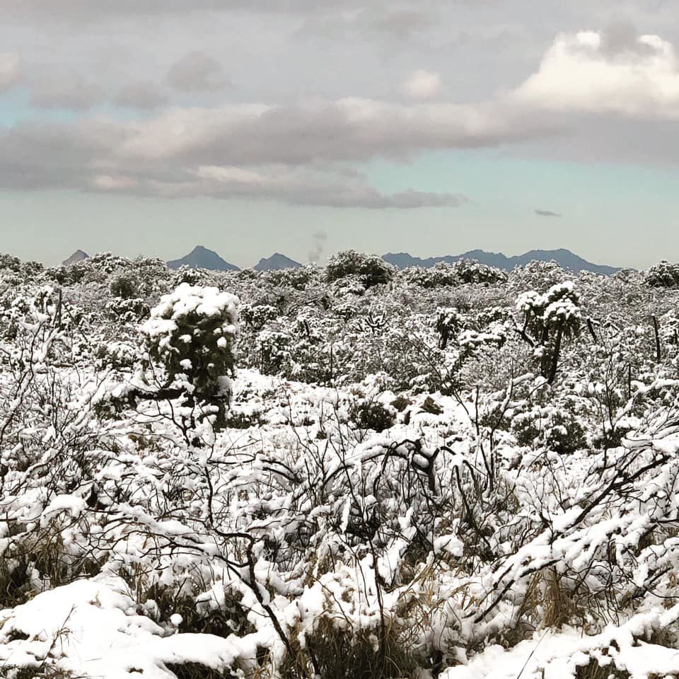 Snow in ÃÛèÖÖ±²¥
